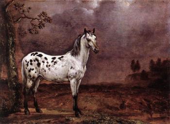 派勒斯 波特 The Spotted Horse